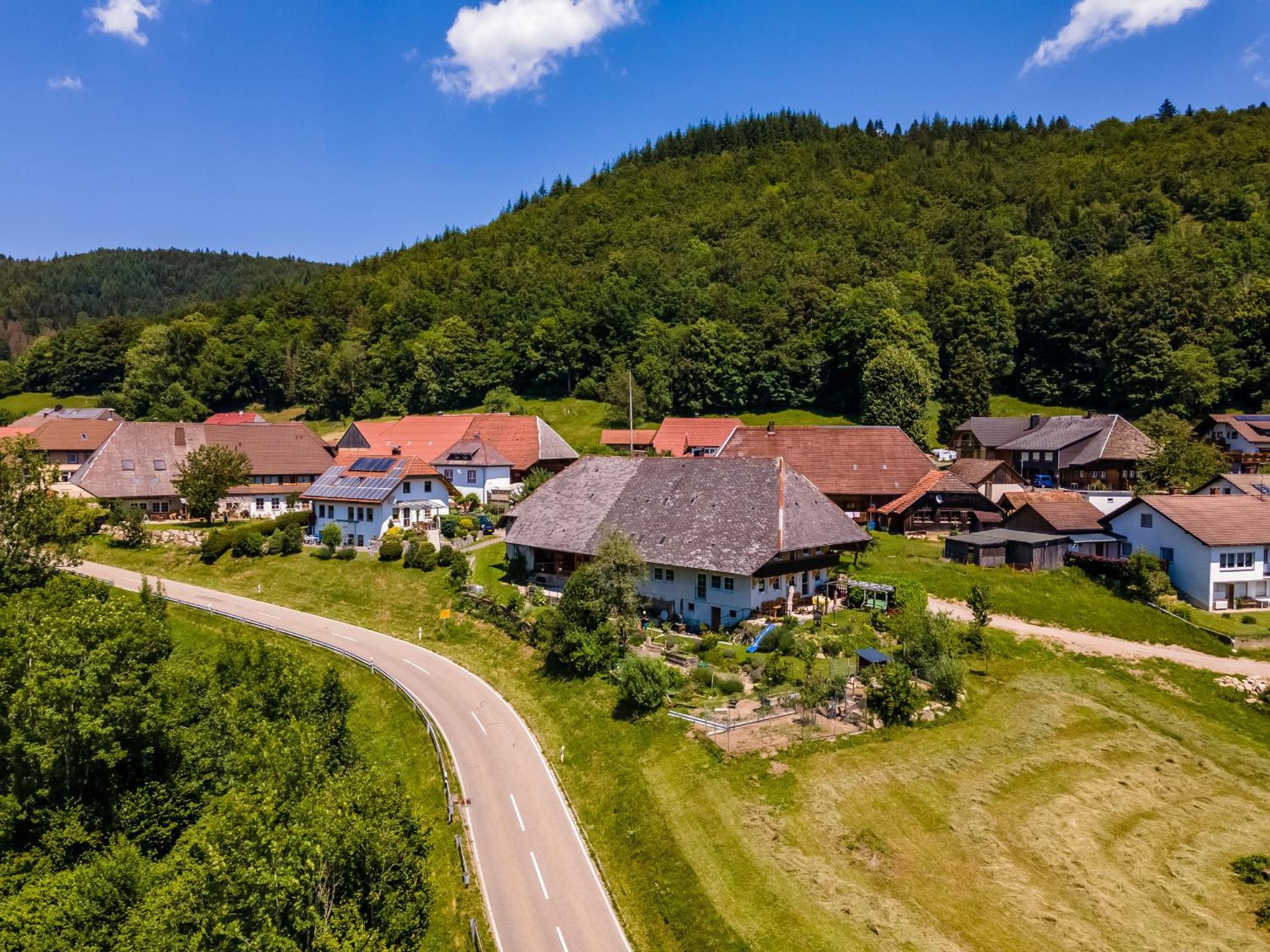 Ferienwohnung Belchenliebe Schonenberg Экстерьер фото