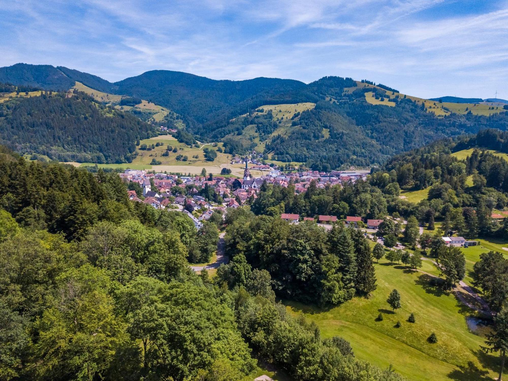 Ferienwohnung Belchenliebe Schonenberg Экстерьер фото